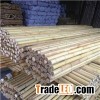 Natural Bamboo Fence