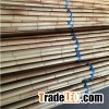 Moso Bamboo Poles