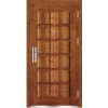 steel door,exterior door