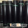 Fluorine Rubber Gasket