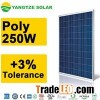250w Solar Panel