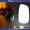 Led Decoration Lihgt