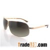 Titanium Sunglasses
