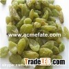 Green Raisin