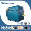 High Voltage Induction Motors