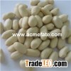 Blanched Peanuts