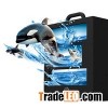 Triple Beam 3D Cinema System
