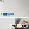 220GSM Eco Solvent Matte Inkjet Polyester Digital Printing Canvas Print Canvas