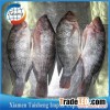 Frozen Tilapia WGS