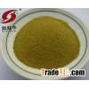 High-quality Green Chili Powder