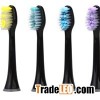 Universal Toothbrush Head