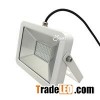 Driverless Super Thin 30W LED Floodlight