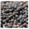 vietnam black pepper for sell