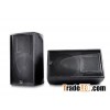 10-inch full range speaker