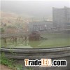 Thickener With Peripheral Rack Transmission