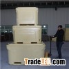 Cold Chain Container