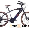 Central Motor City Electric Bike For Man( HF-261503B)