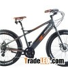 Central Motor Fat-Tyre E-Bike(HF-261503C)