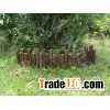 Wooden fence