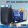 300KW375KVA Natural Gas Generator