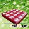600W LED Grow Light