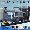 250kw Natural Gas Generator