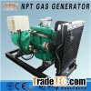 20KW25KVA Biogas Generator