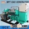 40KW50KVA Biomass Generator