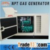 10KW12KVA Biogas Generator