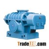 DSR100V Roots Vaccume Pump
