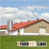 Steel Structure Duck Shed