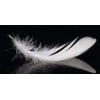 Wholesale Washed white/grey goose/duck feather