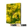 P5.2 LED Video Wall
