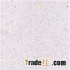 Galaxy White Countertop