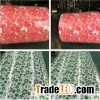 Print Flower Galvanized Steel Coil China Supply
