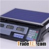Scale With Iron TS-833