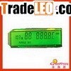 Custom  Segment LCD