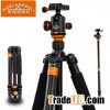 SL-368 Bear More Weight with Big Tube