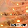 LED  lights strip 3528Y30R-Y12
