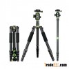 SYS700-necessary for Travel