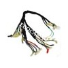 Scooter Wire Harness  eco-198