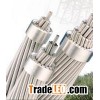 Acar Conductor (ACAR)