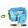 YFL(YCL)series of three-phase asynchronous motor