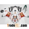 Honda CBR1000RR 2008-2011 Fairing - San Carlo 58