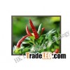 Sell 6.2" TFT LCD Panel
