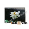 Sell 3" TFT LCD Panel