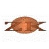 CYBEROPTICS CAMERA 8012979