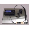 Postal scale