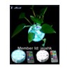 led submersible remote controlled light for fllower vase