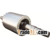 rotor core with shaft